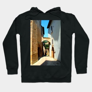 Streets of Trevi Hoodie